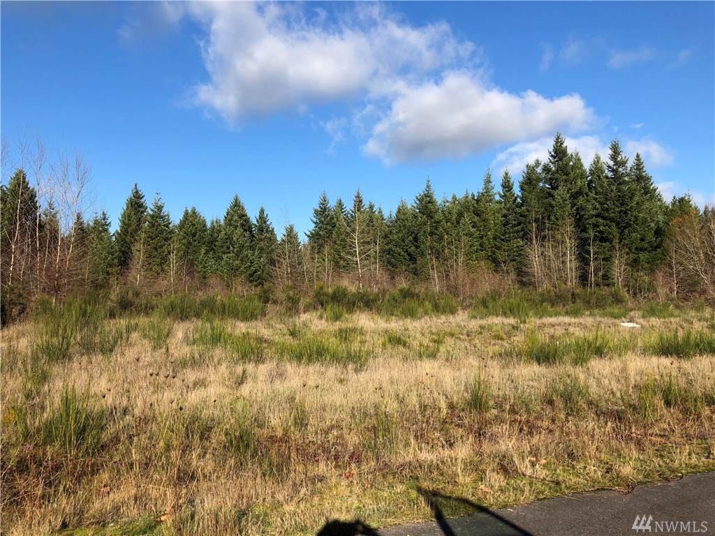 14629 Lindsay Loop - Photo 1