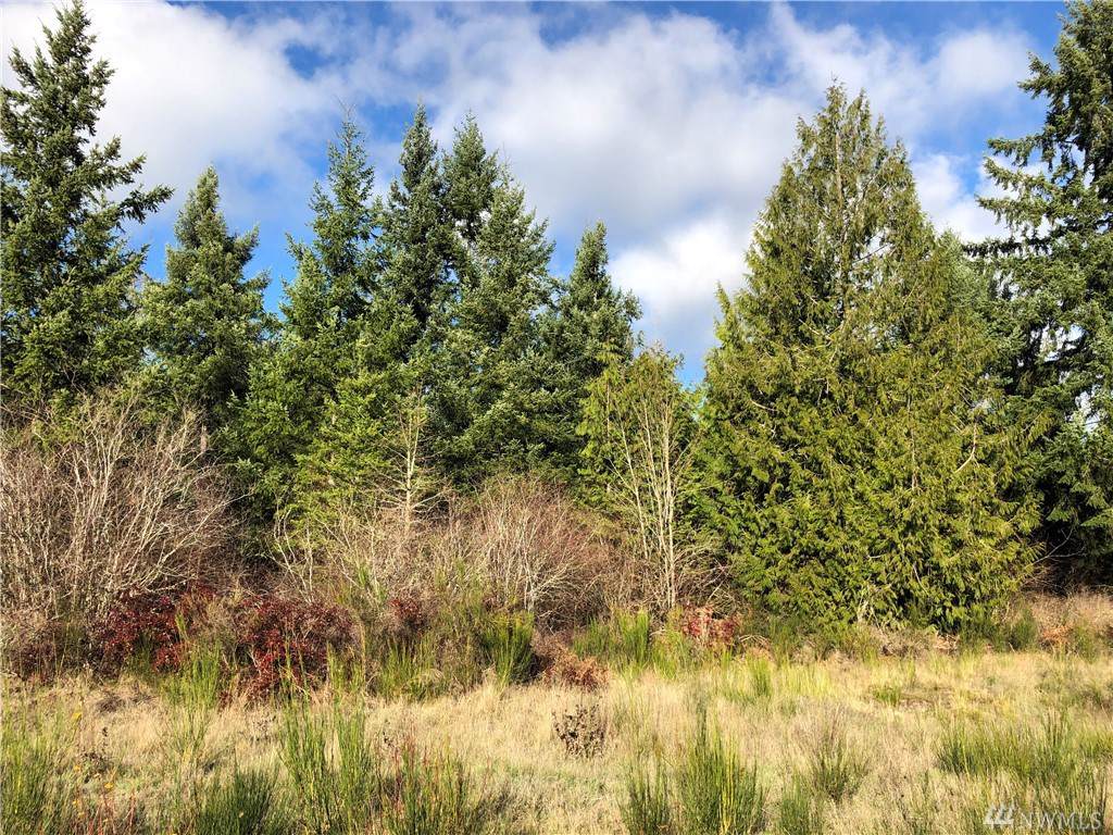 14623 Lindsay Loop - Photo 1