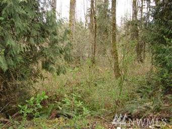 38111 Enumclaw Franklin Rd - Photo 1