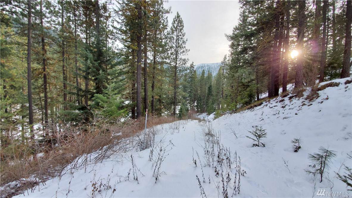 11 Cougar Gulch Rd - Photo 1 11 Cougar Gulch Rd - Photo 1