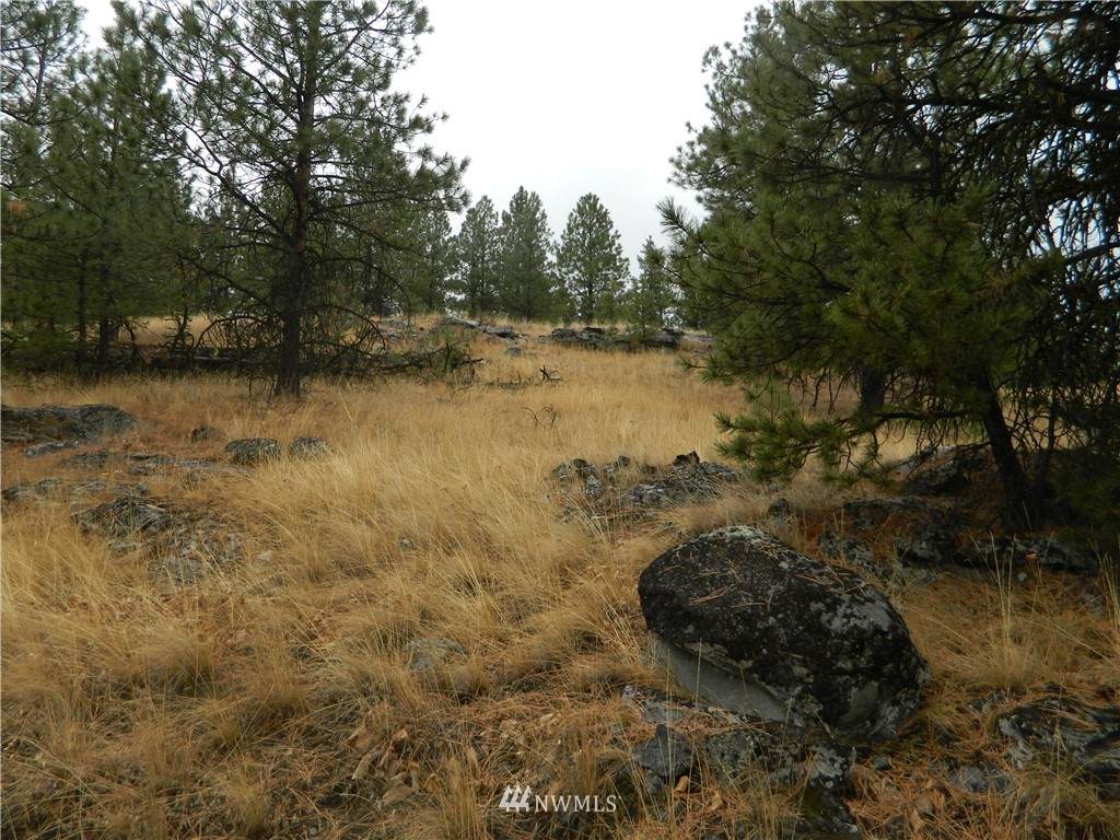 9 Wittman Spur Road - Photo 1