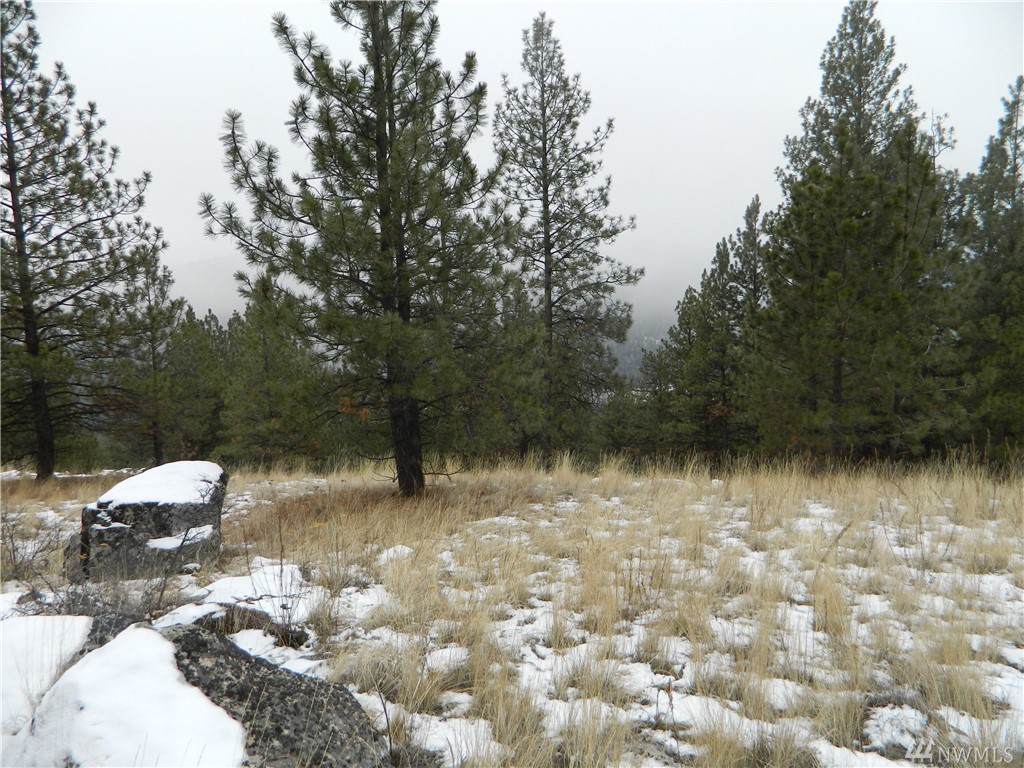9 Wittman Spur Rd - Photo 1