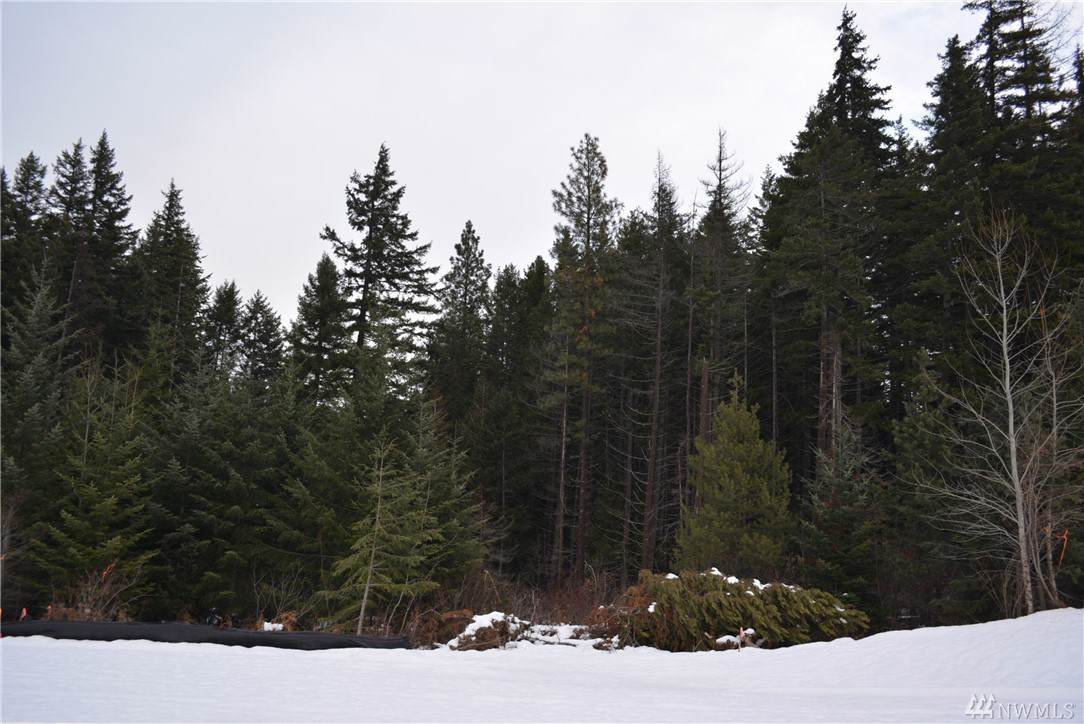 1 Tumble Creek Dr - Photo 1