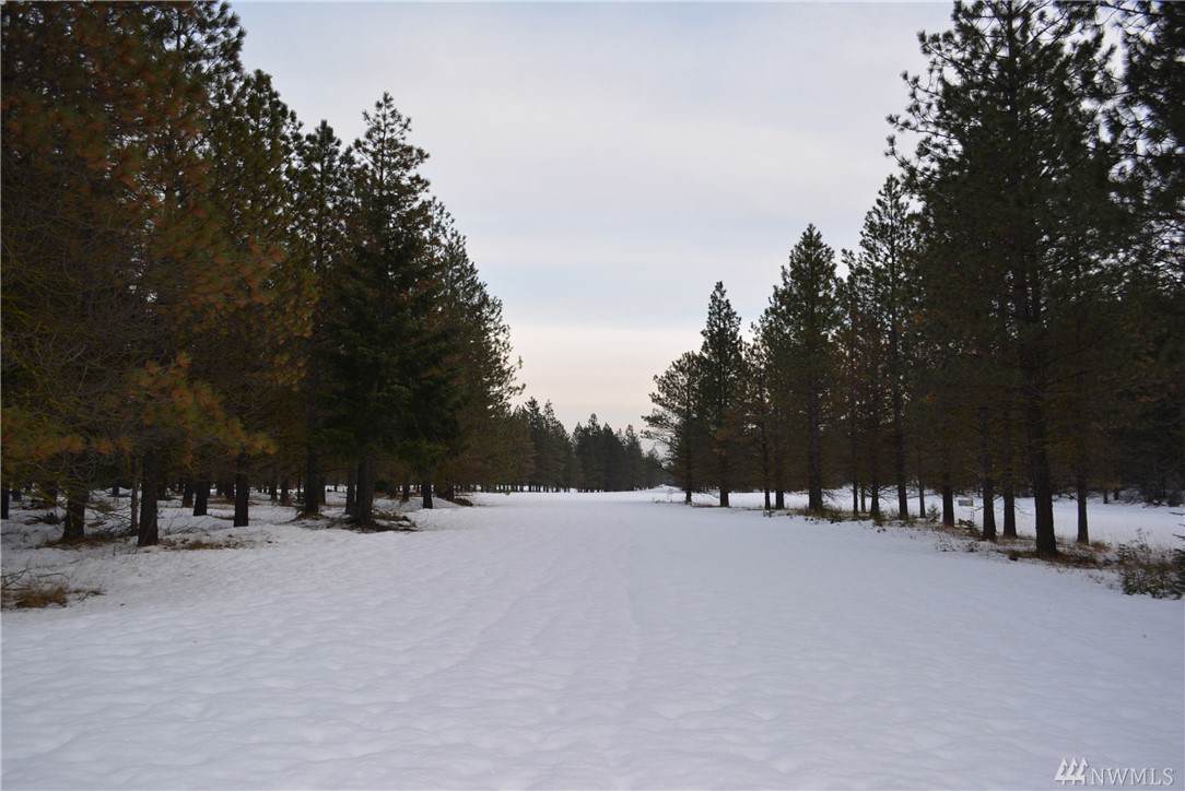 16 Southern Star Lane - Photo 1
