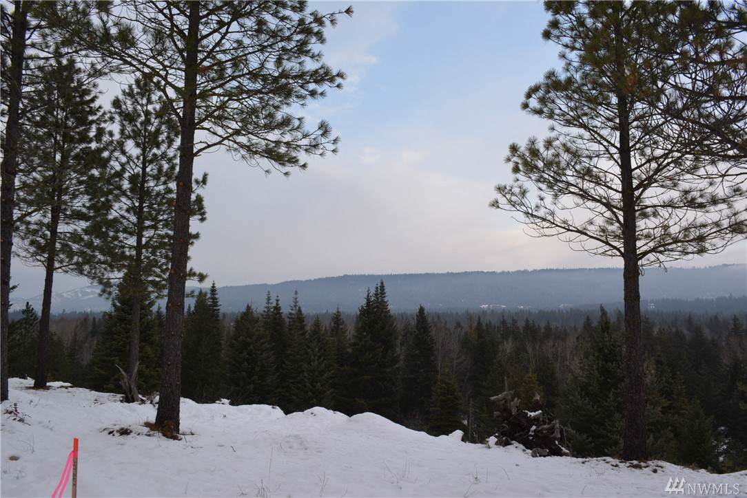 40 Easton Ridge Trail - Photo 1