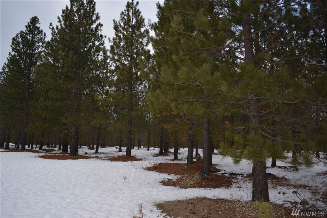 55 Southern Star Lane - Photo 1