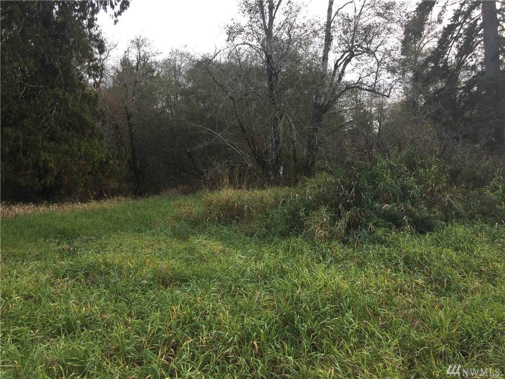 200 Cloquallum Rd - Photo 1