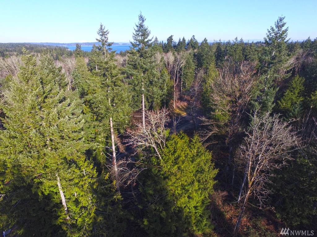 5-Lot 5 Forest View Lane - Photo 1