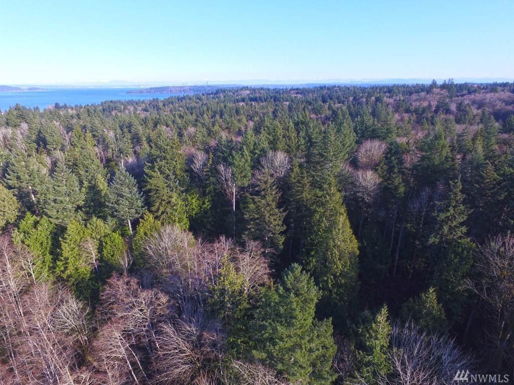 7-Lot 7 Forest View Lane - Photo 1