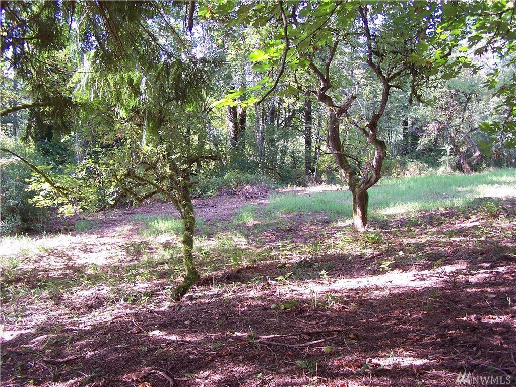 0 Redmond Fall City Rd - Photo 1 0 Redmond Fall City Rd - Photo 1