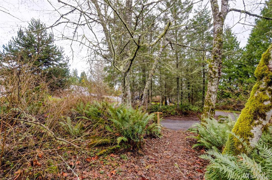 0 Camano Lane - Photo 1