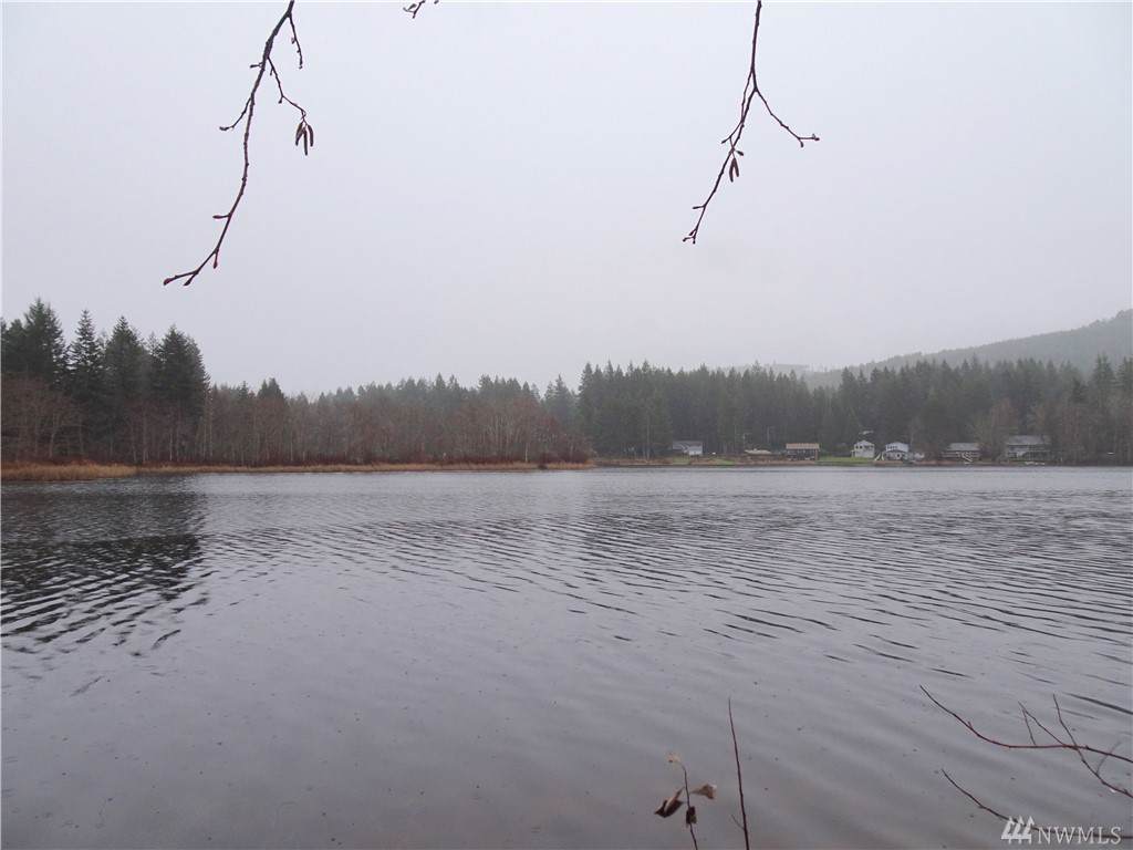 13531 Coho Run - Photo 1