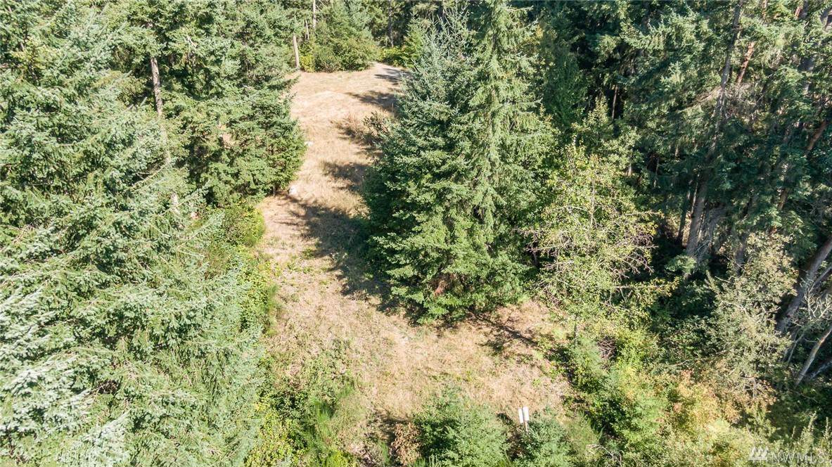 138-XX Madrona Rd - Photo 1
