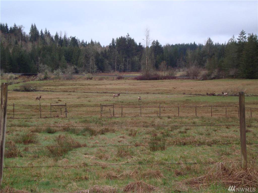 0-xxx 138th Ave - Photo 1