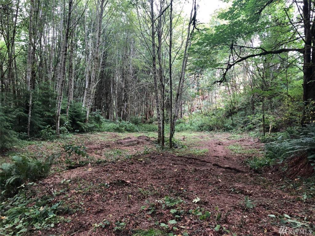 0 Forest View Lane - Photo 1