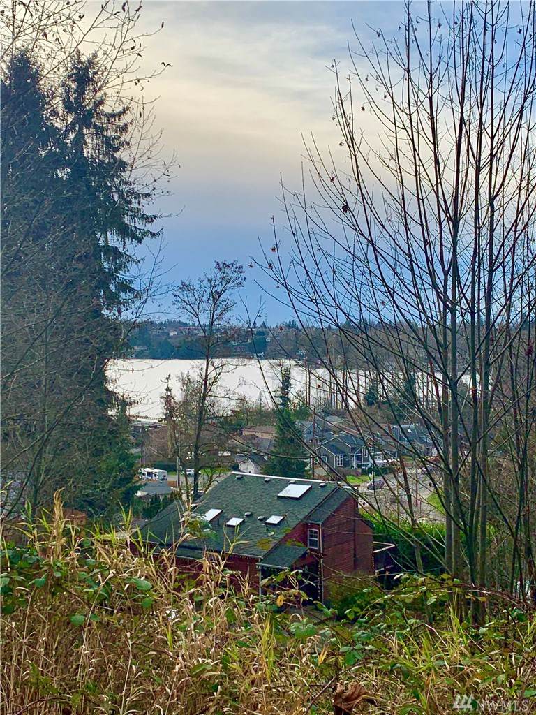 0 Madrona Drive - Photo 1