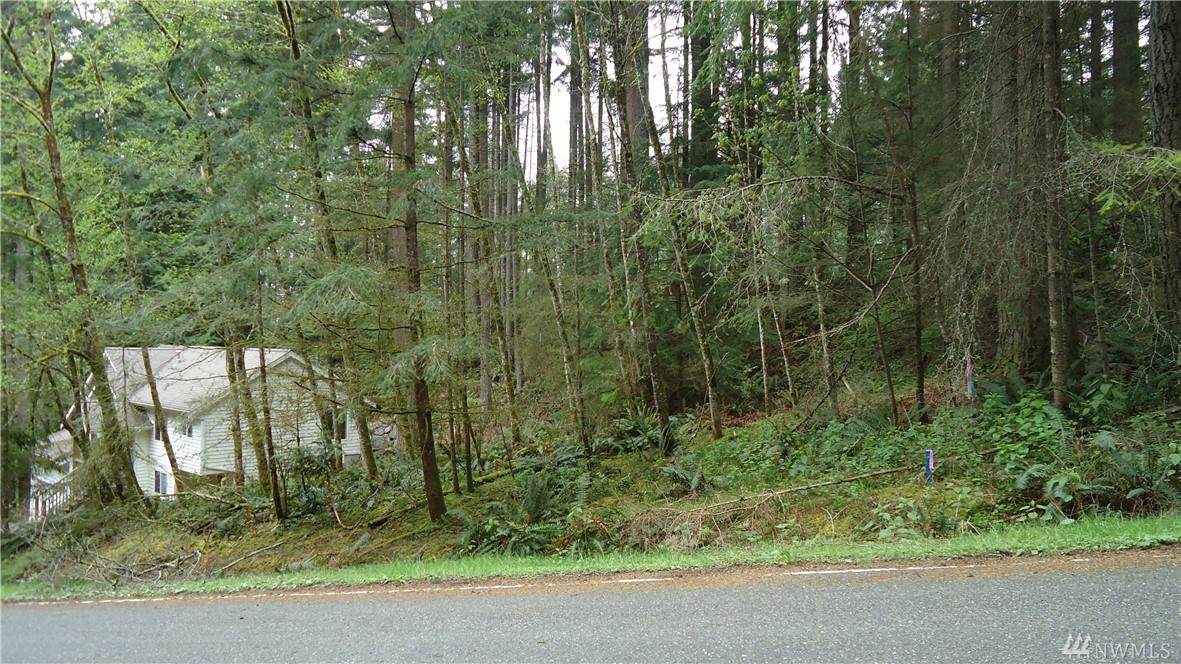 6 Loganberry Lane - Photo 1