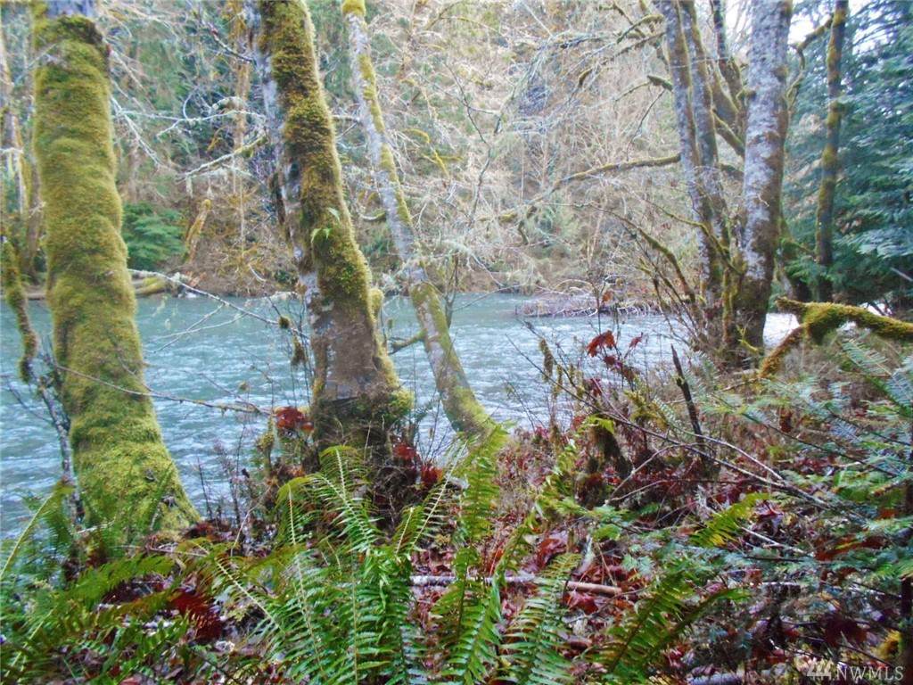242 Mossy Lane - Photo 1