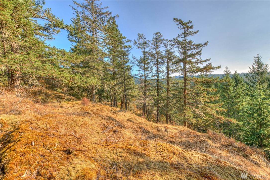 224 Salish Wy - Photo 1 224 Salish Wy - Photo 1