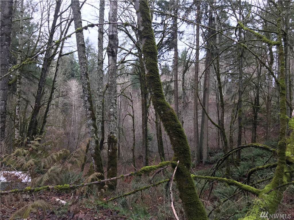 0 82nd Ave - Photo 1