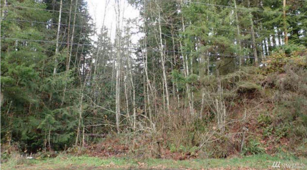 0 Collins Rd - Photo 1