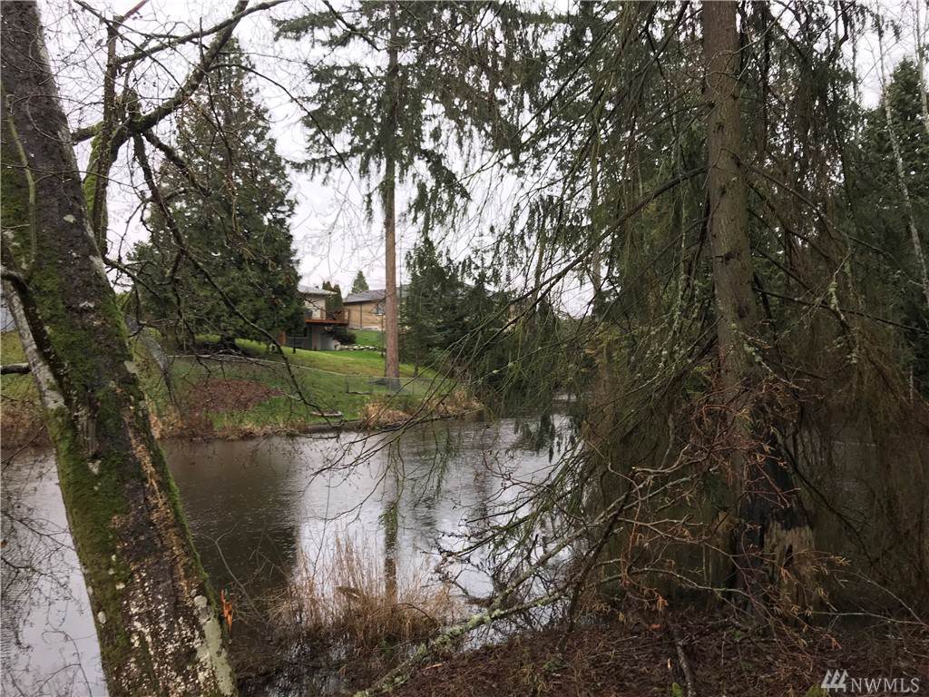 0-Lot 4 Skeena Wy - Photo 1 0-Lot 4 Skeena Wy - Photo 1