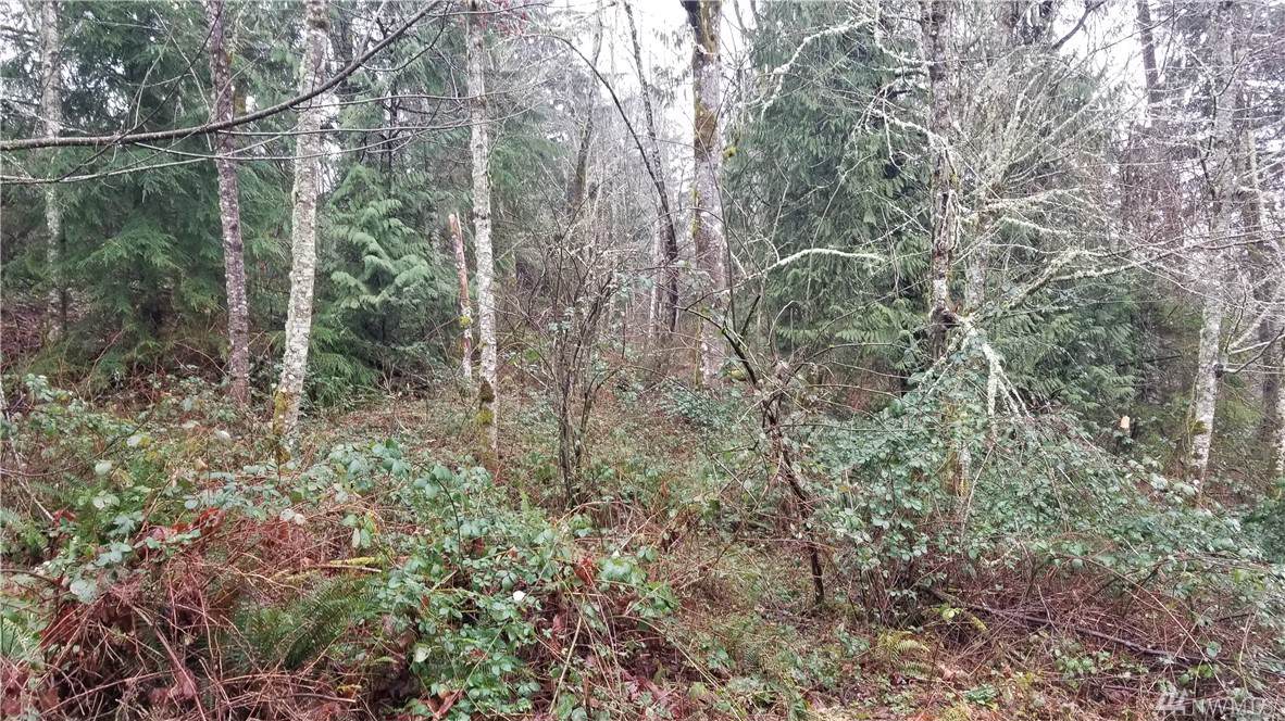 27005 262nd Ave - Photo 1