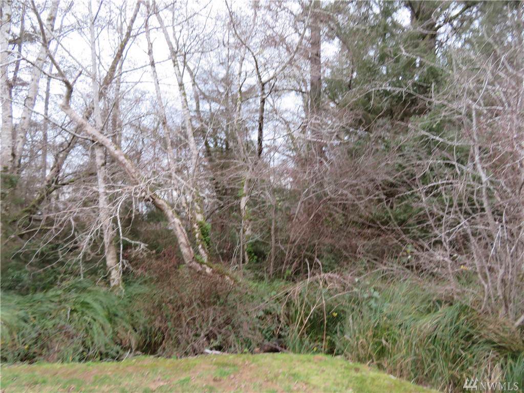 0-XXX Pomeroy Lane - Photo 1