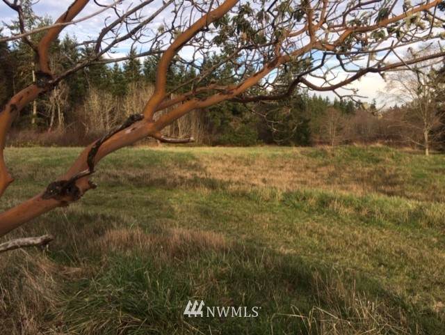 692 Marrowstone Road - Photo 1