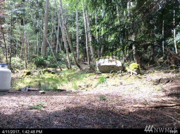 66 Lodgepole Lane - Photo 1