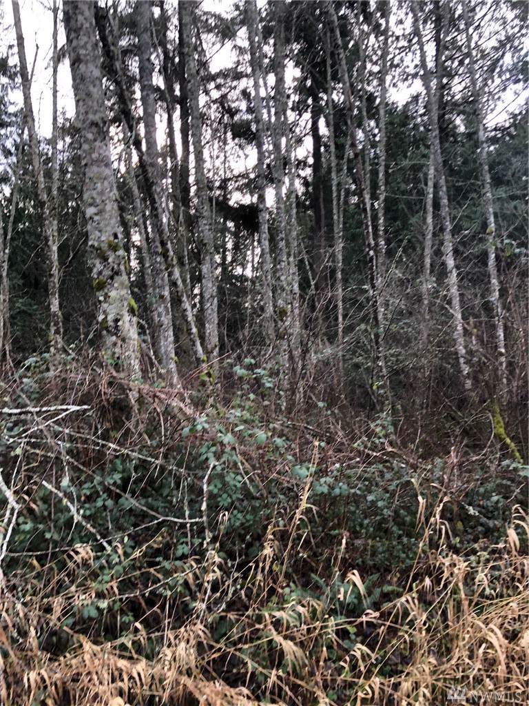 0-Lot 16 Rex St - Photo 1