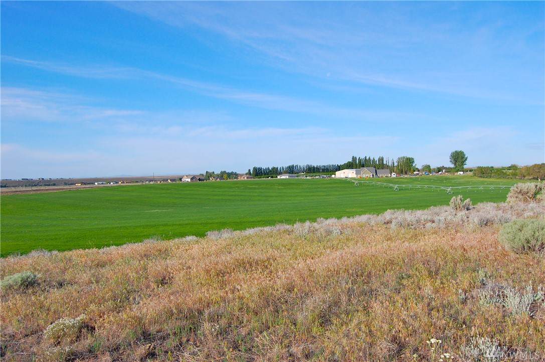 5153 Road 7.3 - Photo 1
