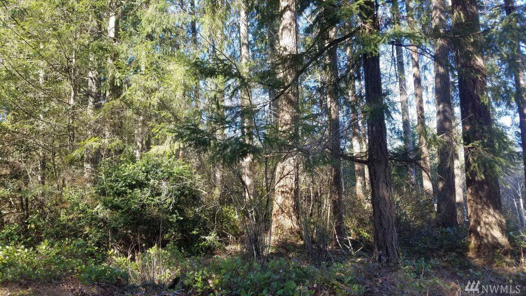 0 Sunset Hill Rd - Photo 1