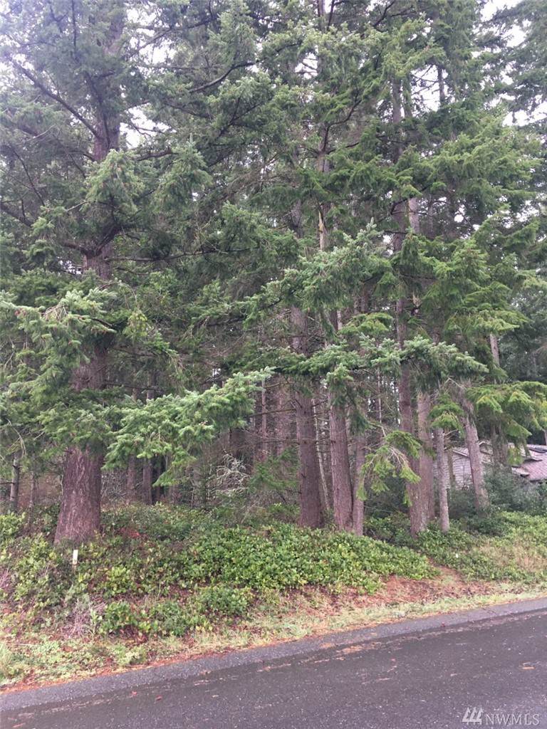 0-Lot 19 Sahalee Ct - Photo 1