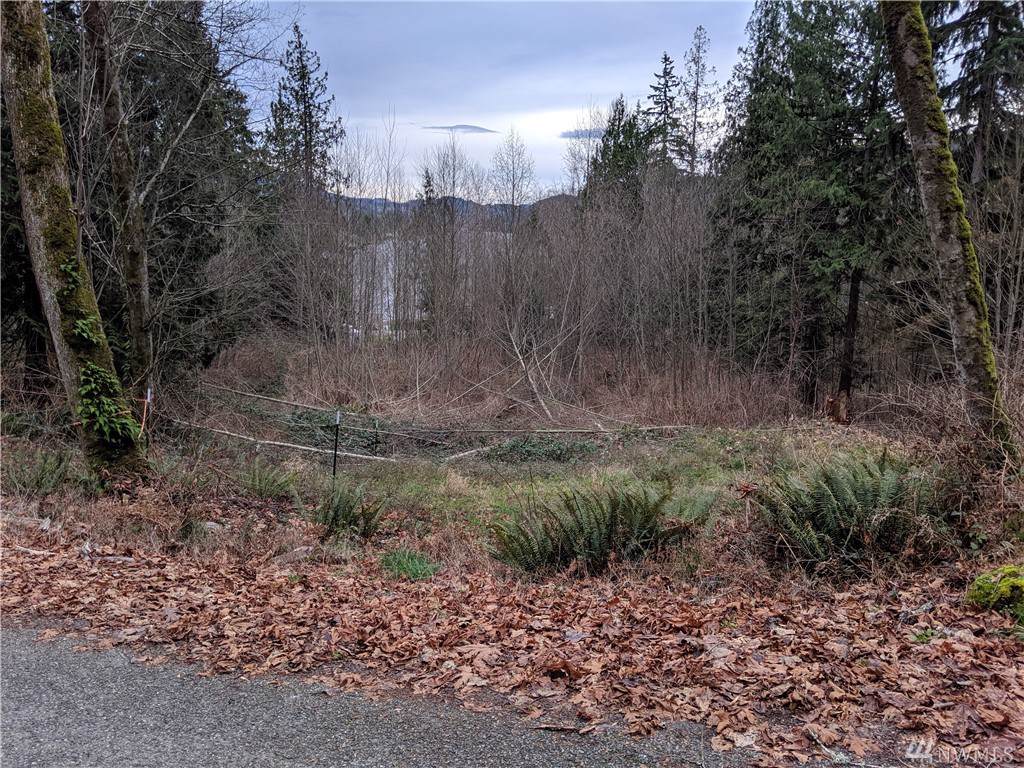 0-NHN Mountain View Rd - Photo 1