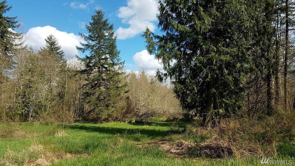 6123 139th Ct - Photo 1