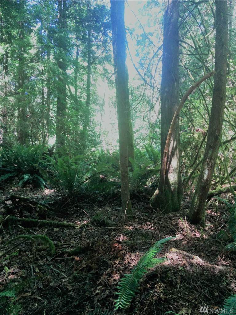 0 Harper Hill Rd - Photo 1