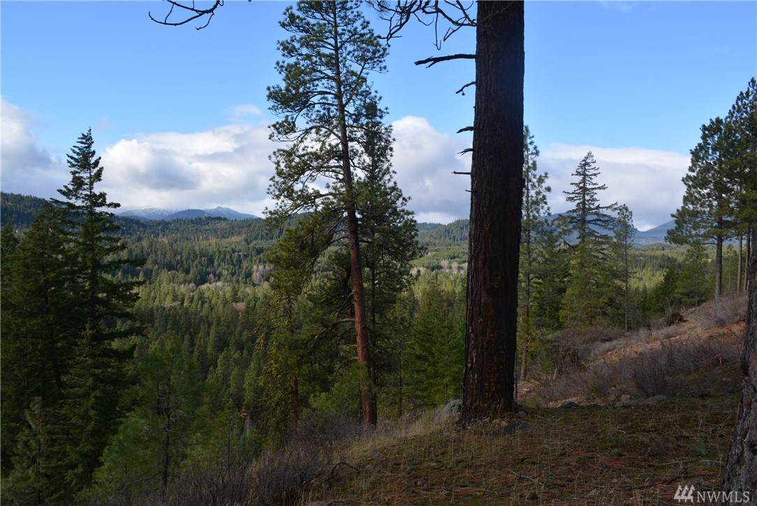 6 Suncadia Trail - Photo 1 6 Suncadia Trail - Photo 1