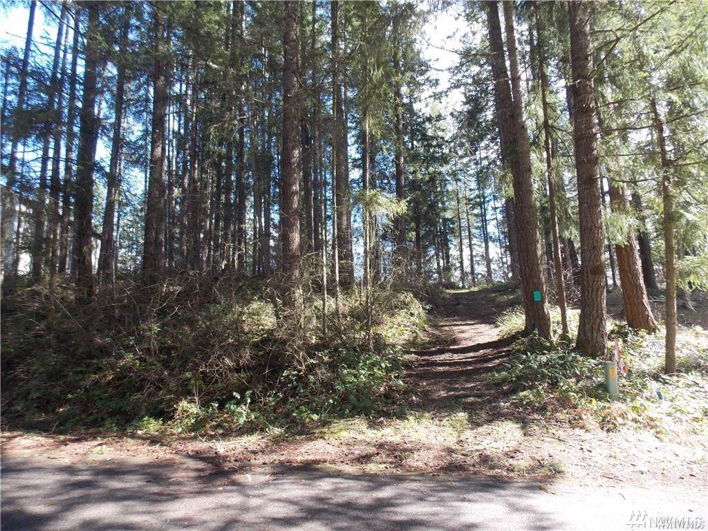 18320 Rampart Dr - Photo 1