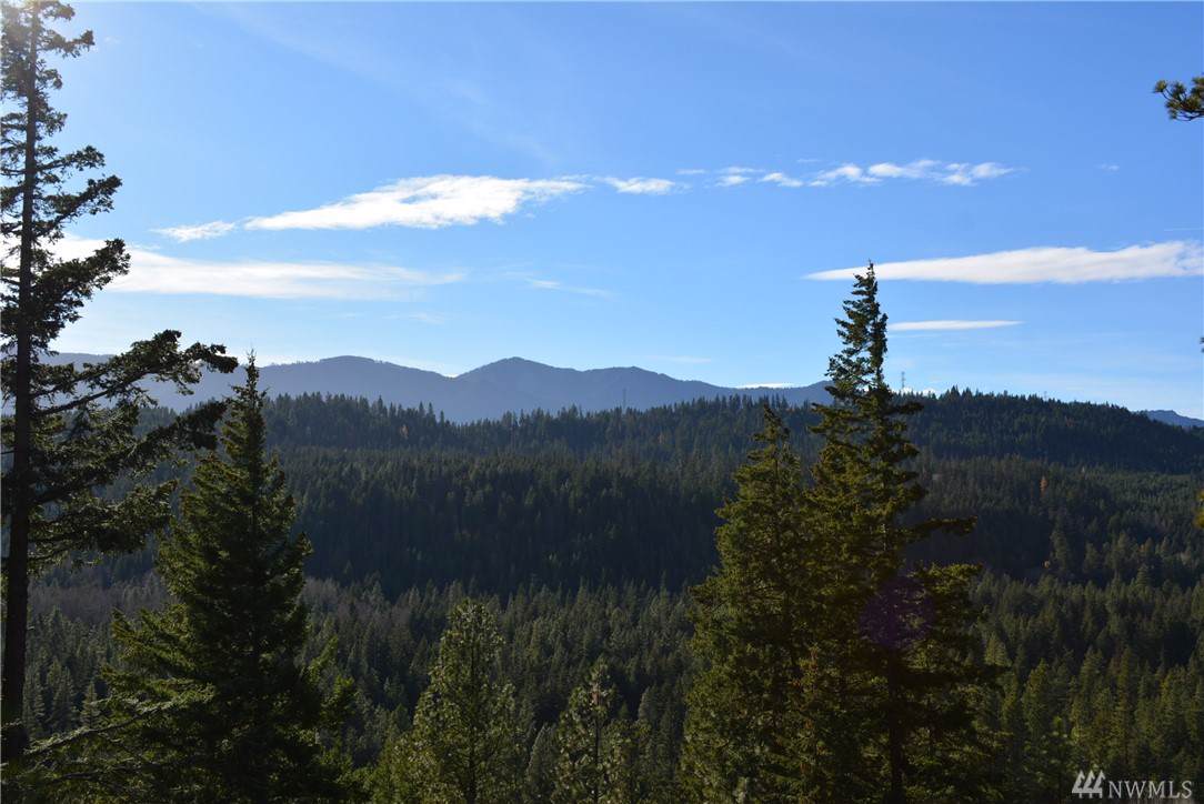 8 Suncadia Trail - Photo 1 8 Suncadia Trail - Photo 1