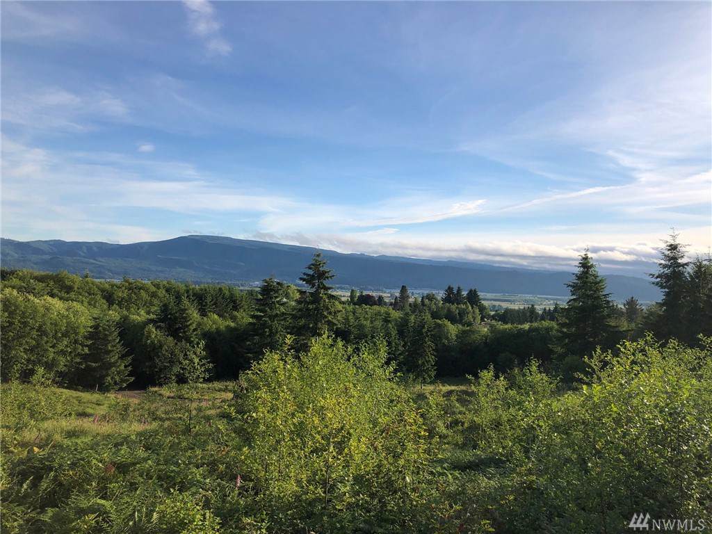 0 Skyline Rd - Photo 1