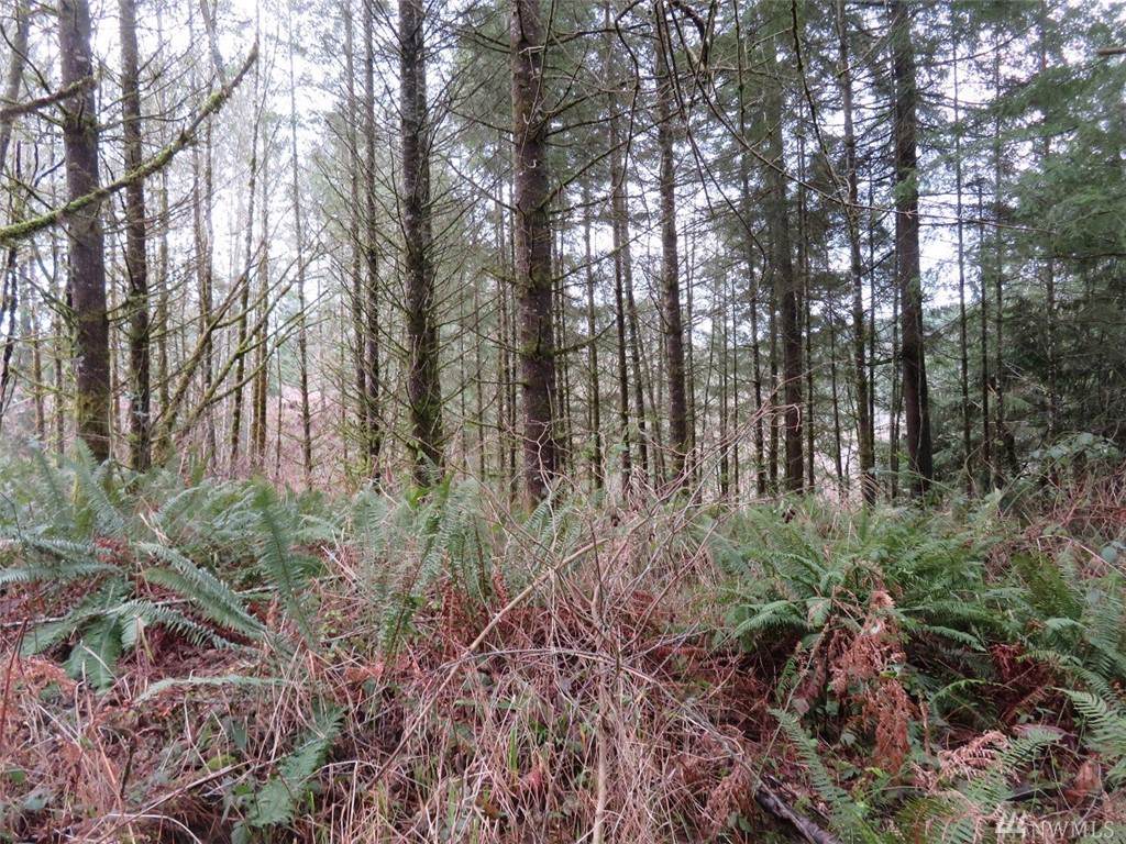 21024 Zenkner Valley Rd - Photo 1