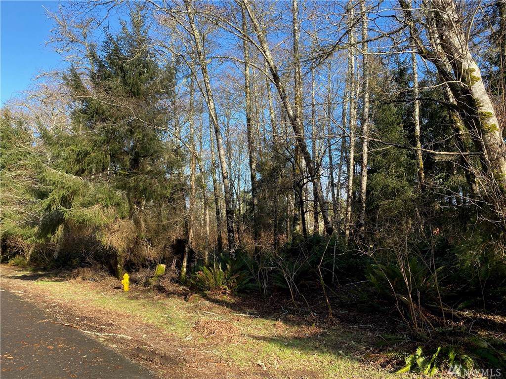 256 Fisher Ave - Photo 1