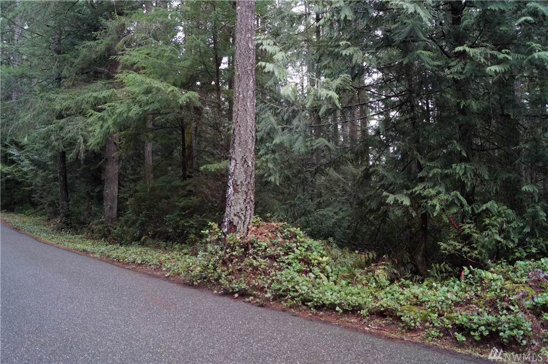 15 Arcadia Shores Rd - Photo 1