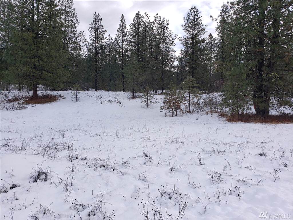 3339 Highway 25 - Photo 1