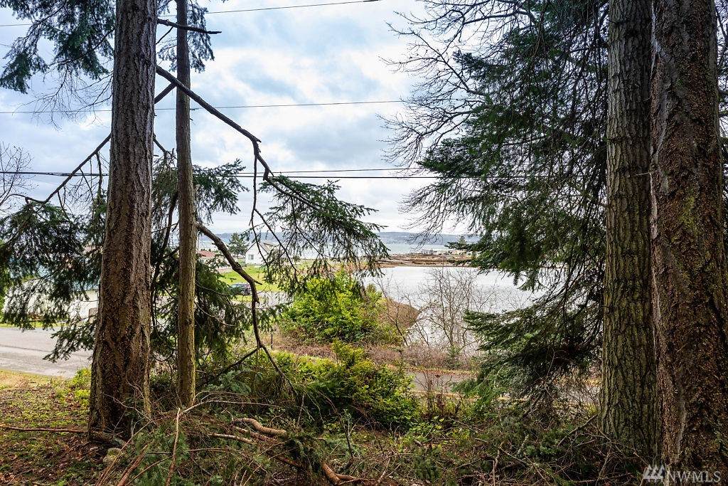 9 Harrington Lagoon Rd - Photo 1