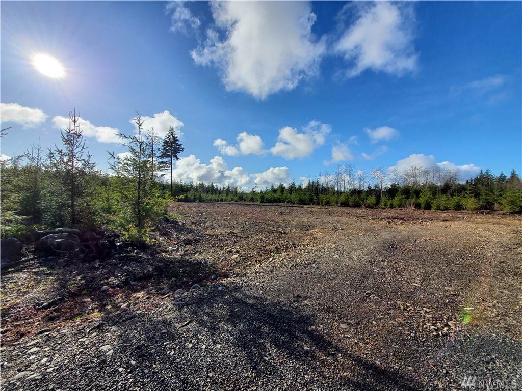 9999 Lot 2 Ledare Sp - Photo 1