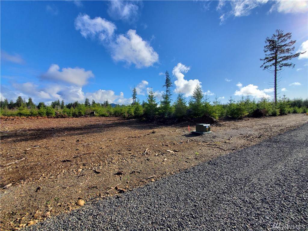 9999 Lot 1 Hennings Sp - Photo 1