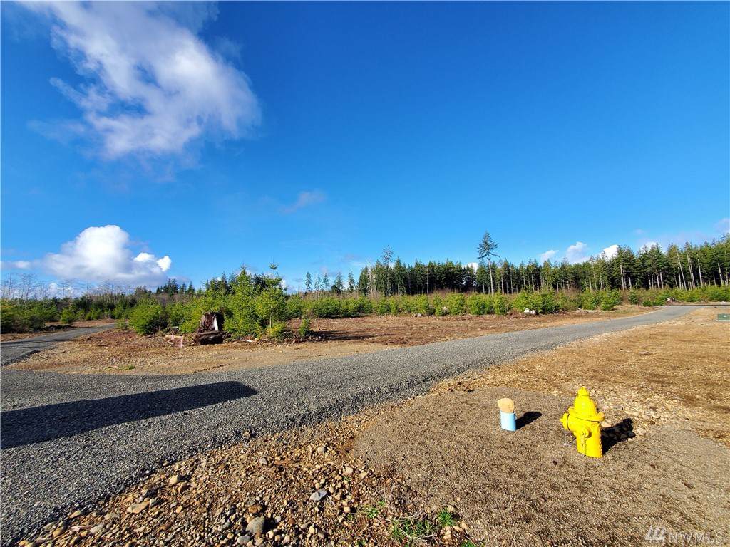 9999 Lot 2 Hennings Sp - Photo 1