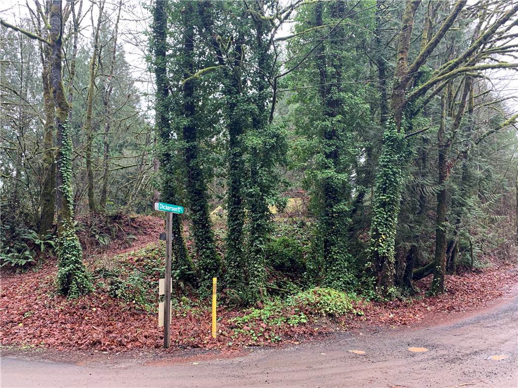 5047 David Rd - Photo 1